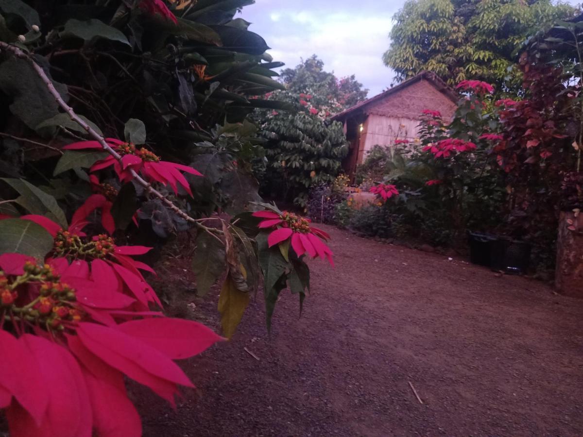 Tribal Village Homestay & Trekking Banlung Exterior foto