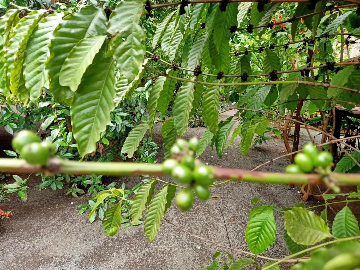 Tribal Village Homestay & Trekking Banlung Exterior foto