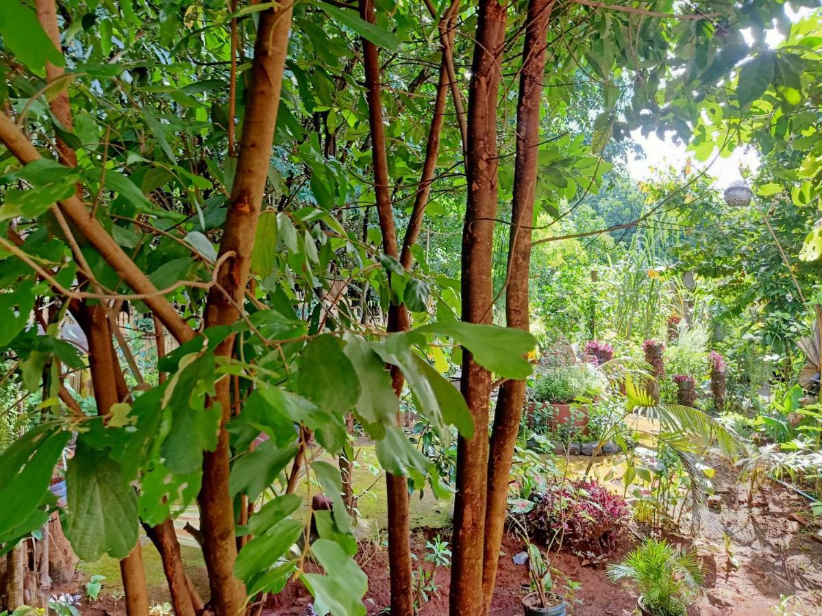 Tribal Village Homestay & Trekking Banlung Exterior foto