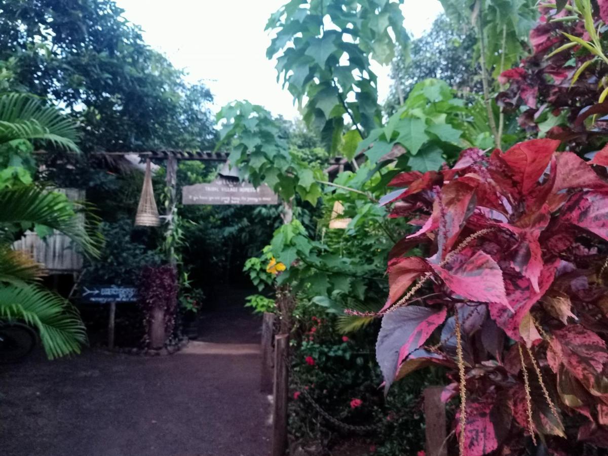 Tribal Village Homestay & Trekking Banlung Exterior foto