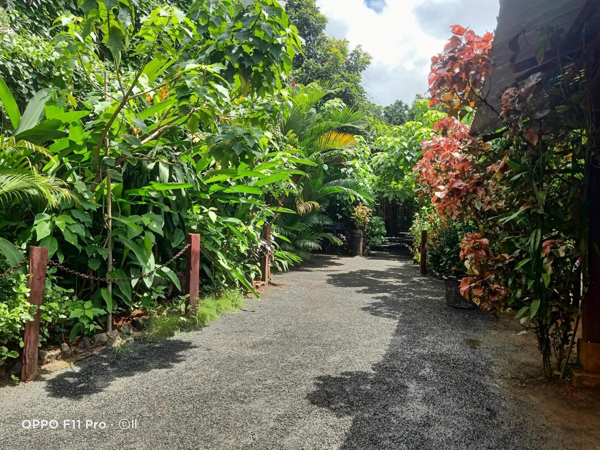 Tribal Village Homestay & Trekking Banlung Exterior foto